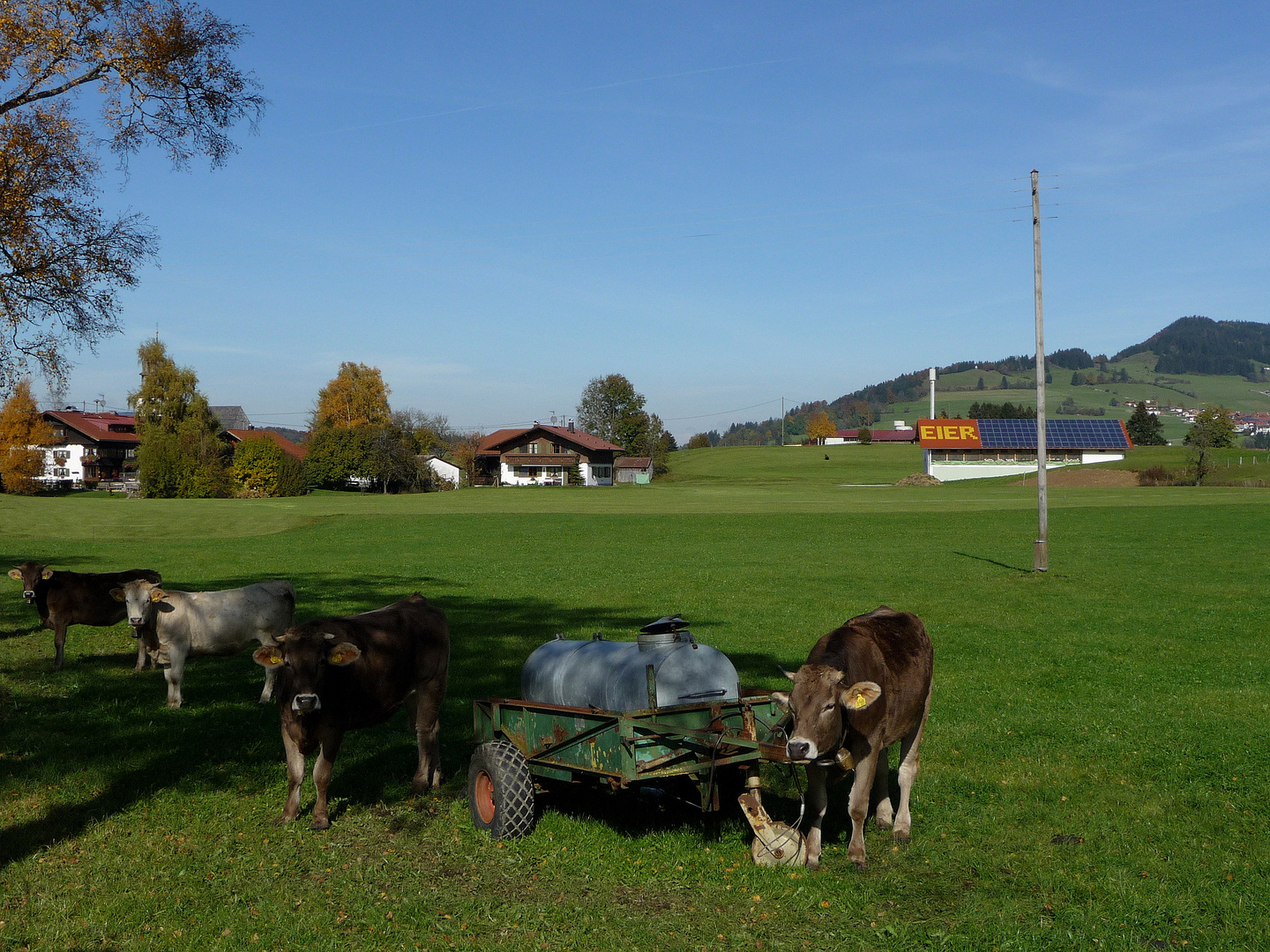 "Und Jetzt Alle Mal Bitte Recht Freundlich..."