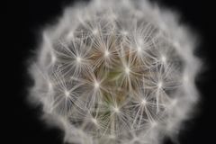 und jetzt alle mal kräftig pusten