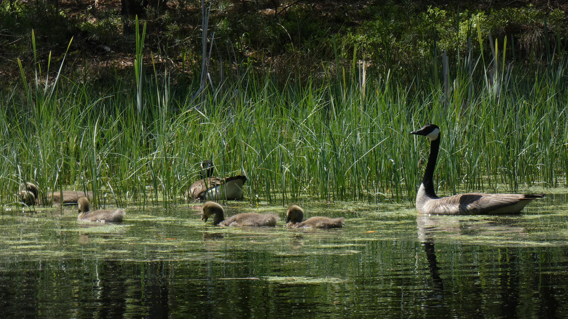 Und jetzt ein aktuelles Familienfoto!