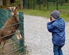 ...und jetzt nochmal im Profil!