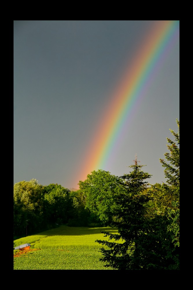 Und Jimmy ging zum Regenbogen ...