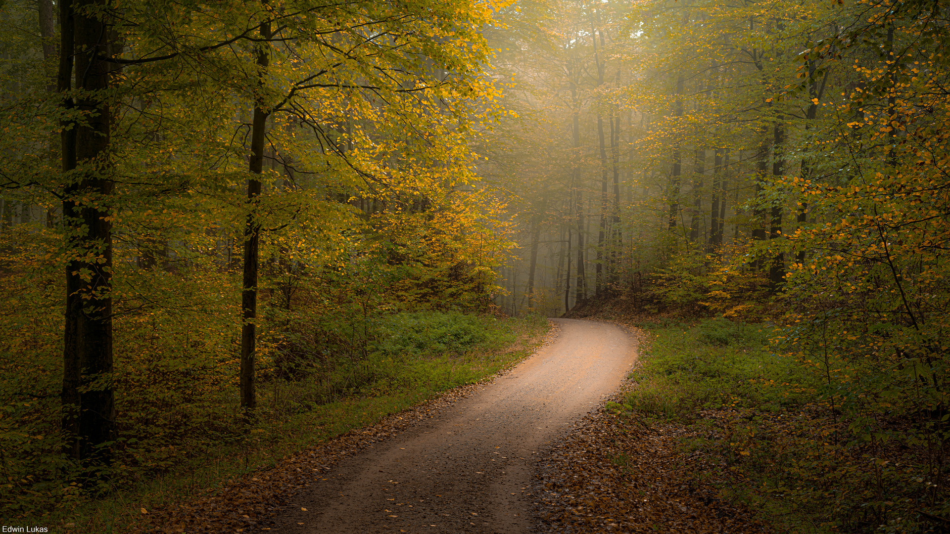 Und kam die goldene Herbsteszeit .........