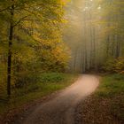 Und kam die goldene Herbsteszeit .........