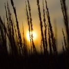 Und kam die goldene Herbsteszeit