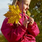 UND KAM DIE GOLDENE HERBSTESZEIT...