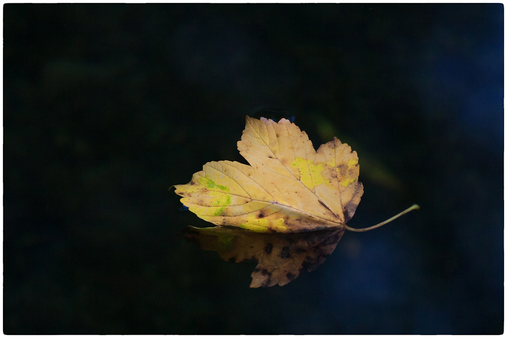 und kommt die goldene Herbsteszeit .....