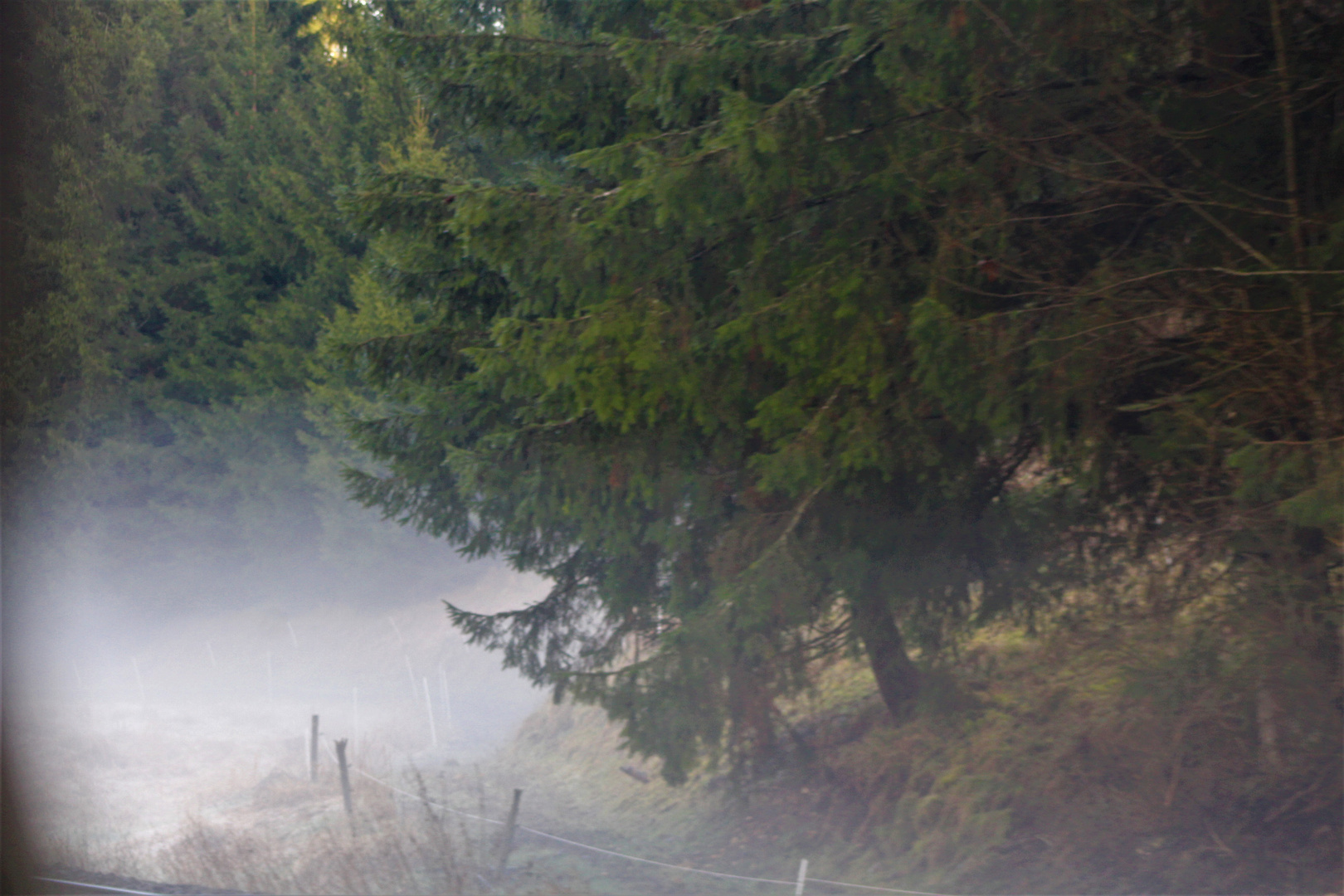 und langsam wabernd , bewegt sich  der Bodennebel 