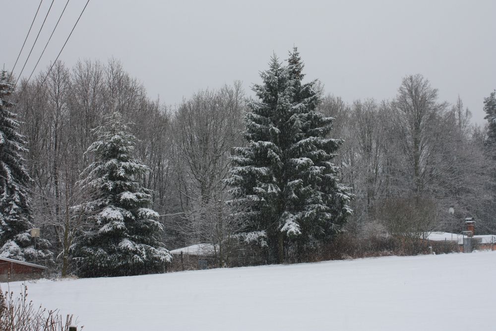 und leise rieselt der Schnee