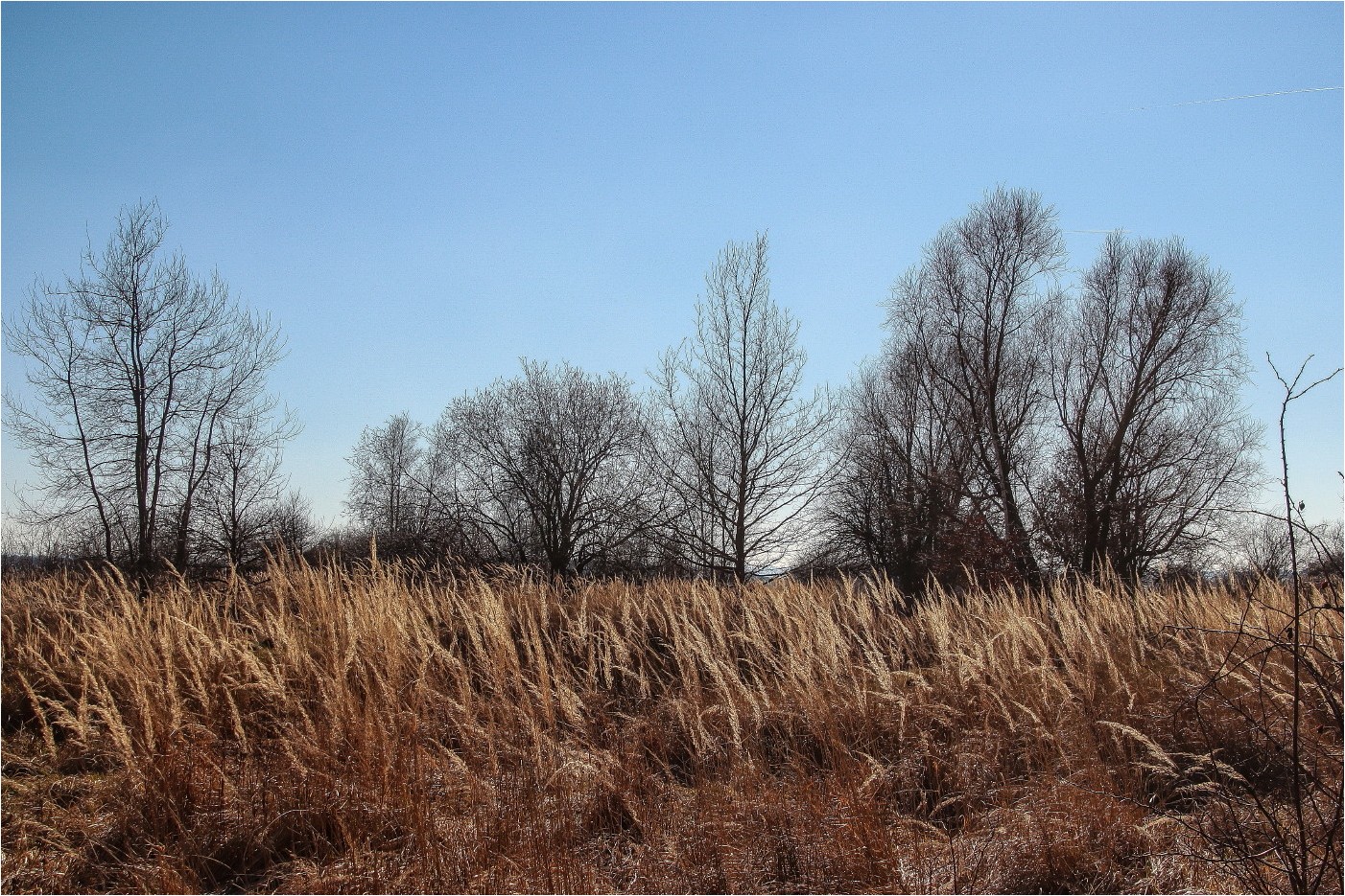 ... und leise wehte der Wind