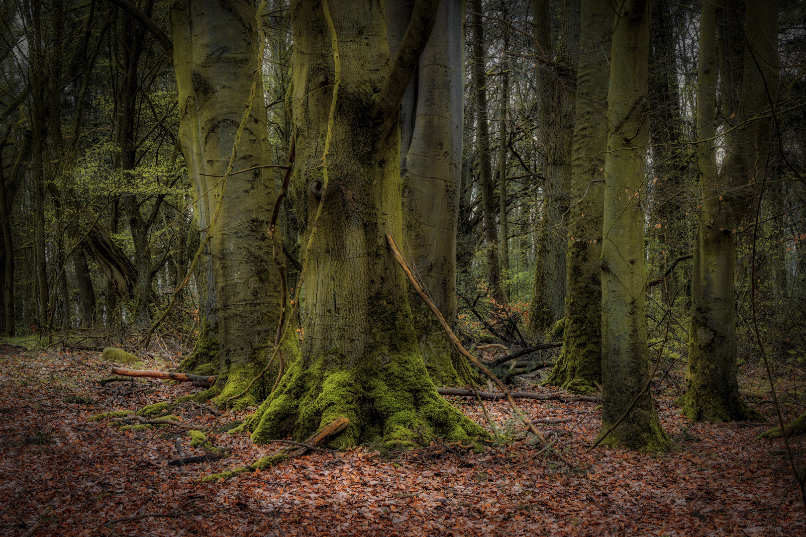 ...und mitten im Wald ...