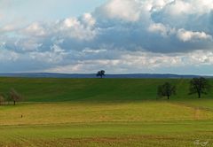 Und mittendrin ein Apfelbaum