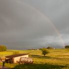 ...und nach dem Gewitter kam der Regenbogen