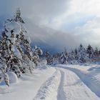 Und nach dem großen Schnee....