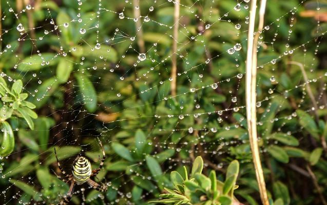 Und nach dem Regen geht es weiter