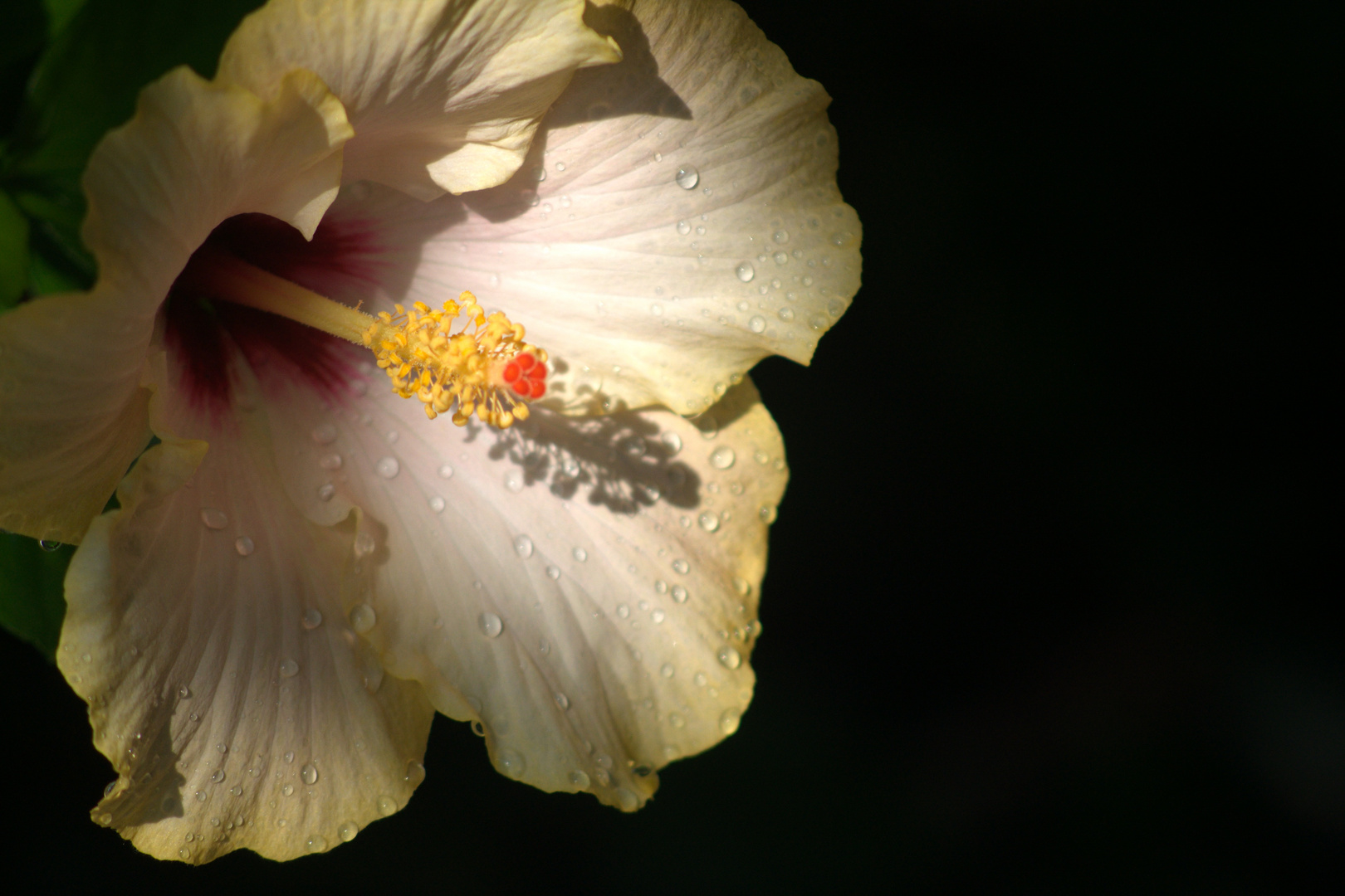 ...und nach Regen folgt Sonnenschein