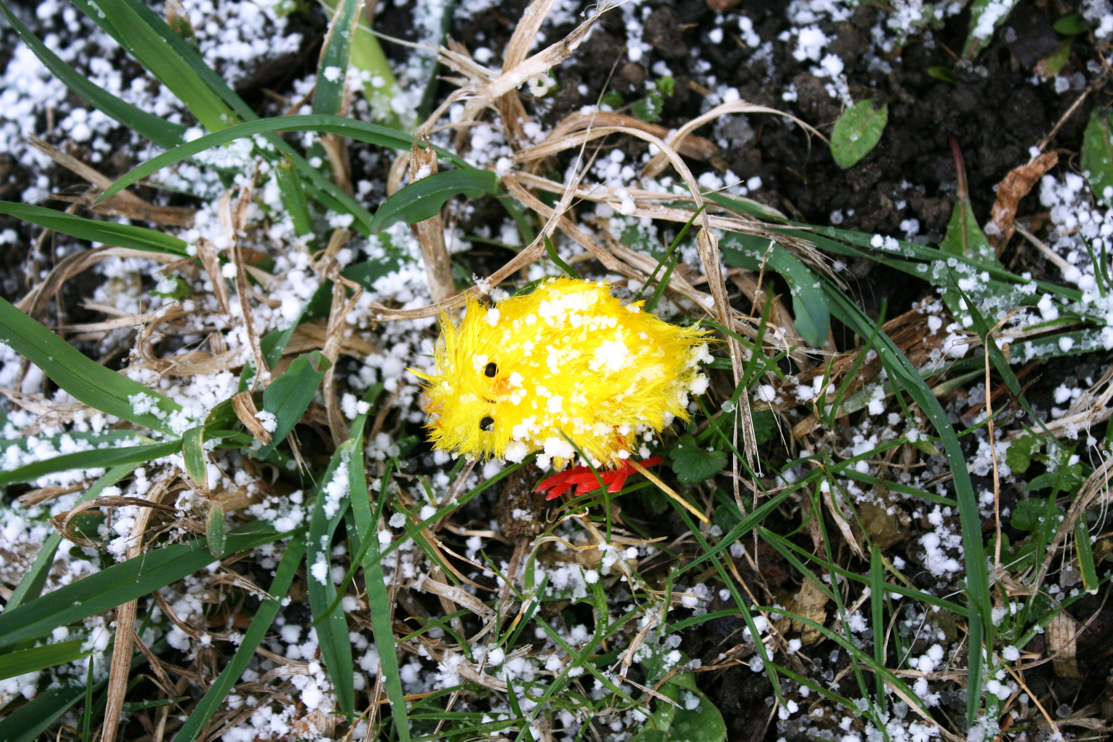 Und nächste Woche soll Ostern sein?