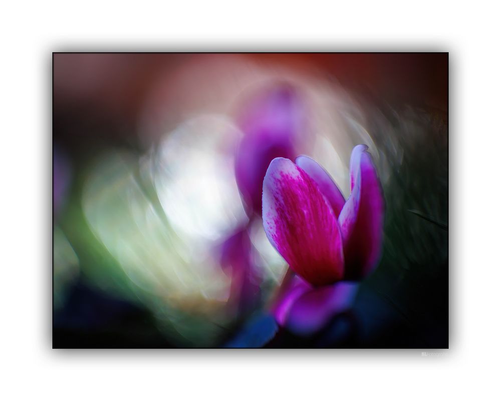 Und noch... Foto & Bild spezial, natur, foto Bilder auf