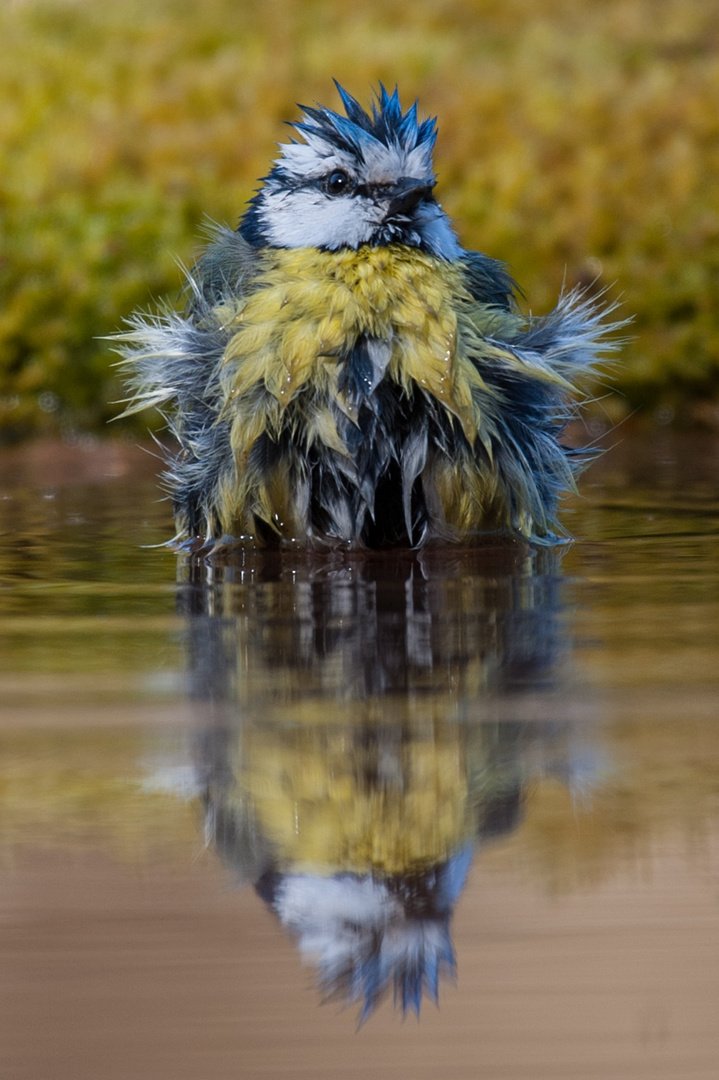 Und noch ein Badefoto!