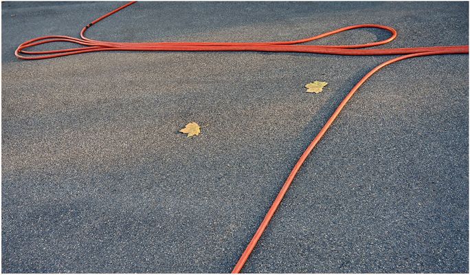 und noch ein bisschen Herbst ...