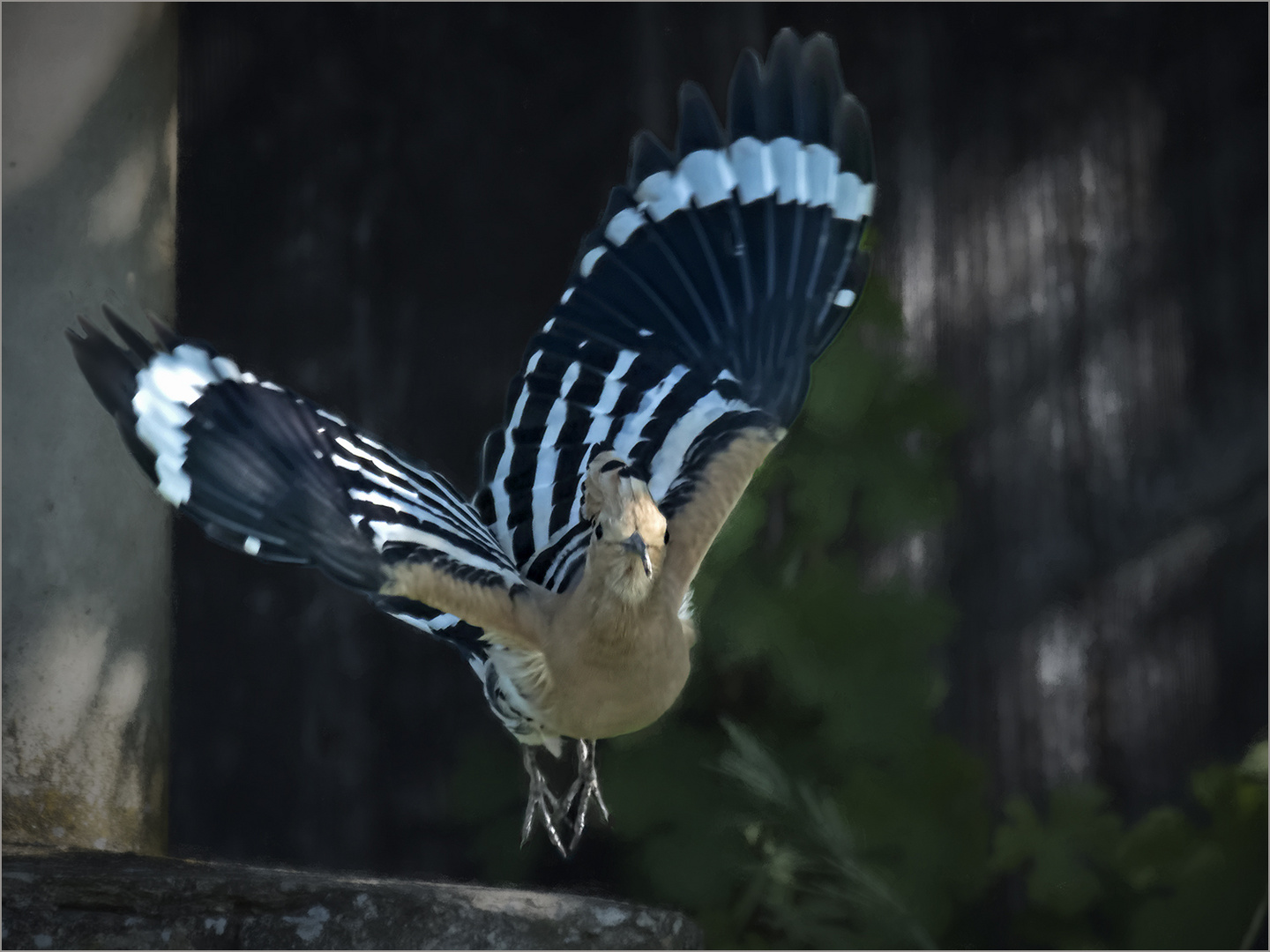 und noch ein Flugfoto...