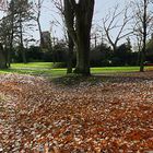 Und noch ein herbstliches Panorama