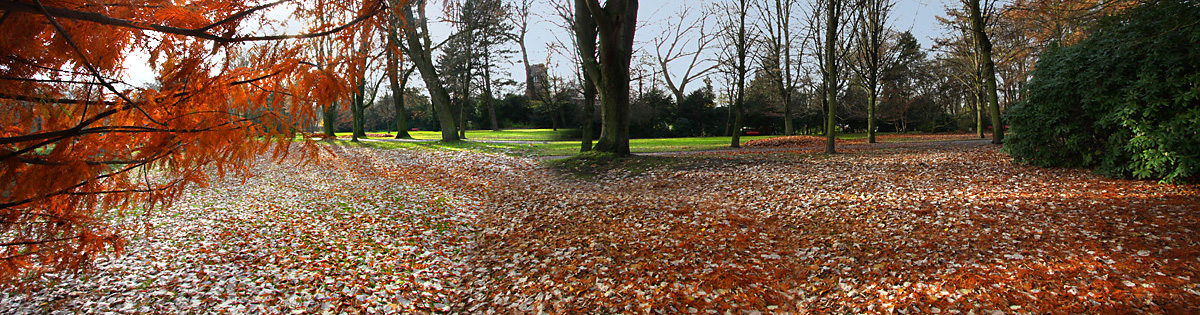 Und noch ein herbstliches Panorama