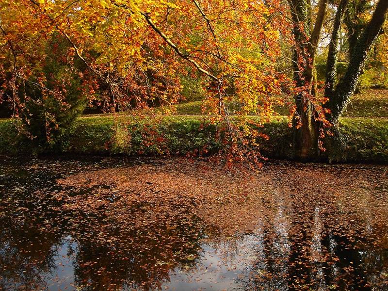 ...und noch ein letztes Herbstbild