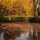 ...und noch ein letztes Herbstbild