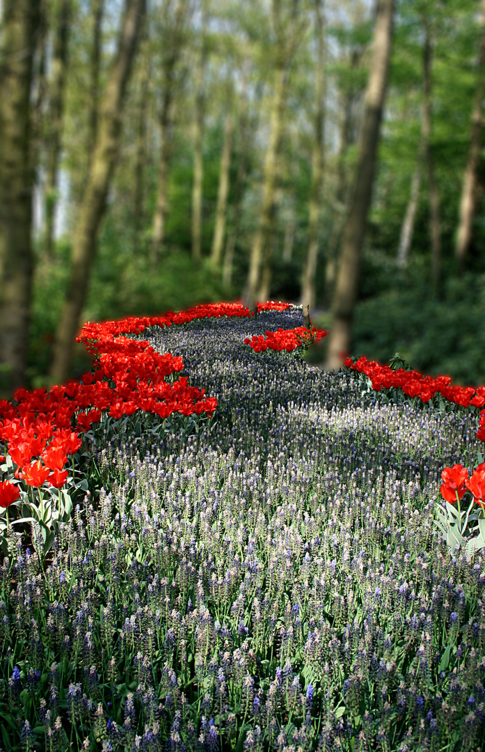 Und noch ein paar Mittwochsblümchen