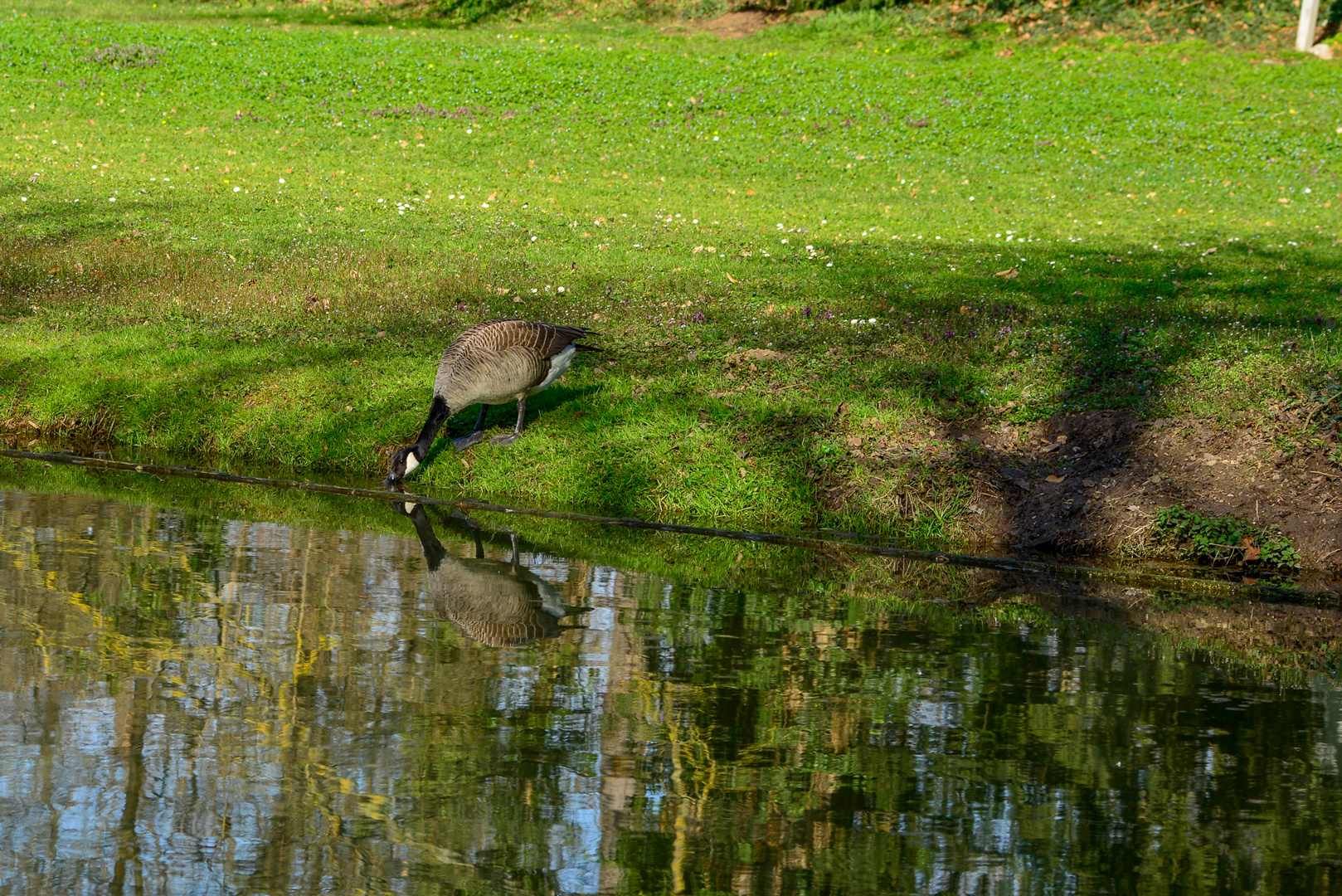 ...und noch ein Schluck.....