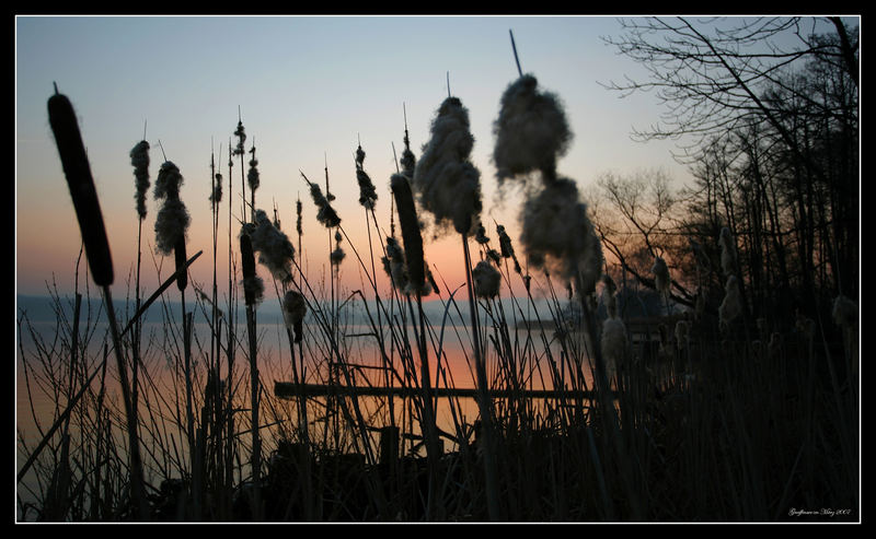 und noch ein Sonnenaufgang vom Greifensee