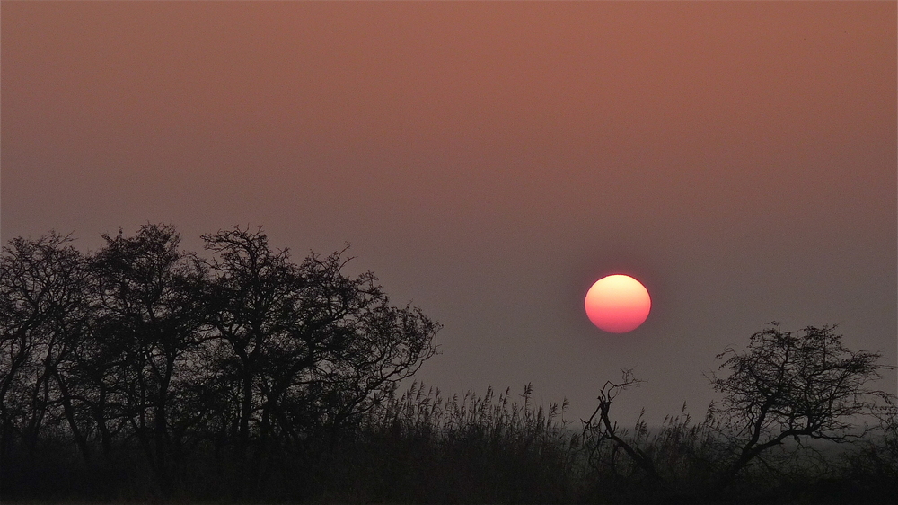 ...und noch ein Sonnenuntergang ;-)