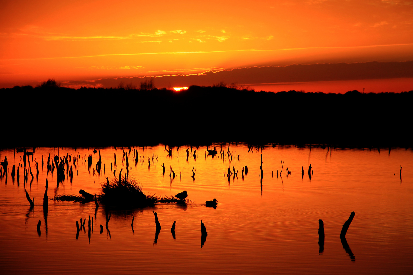 Und noch ein Sonnenuntergang im Himmelmoor...