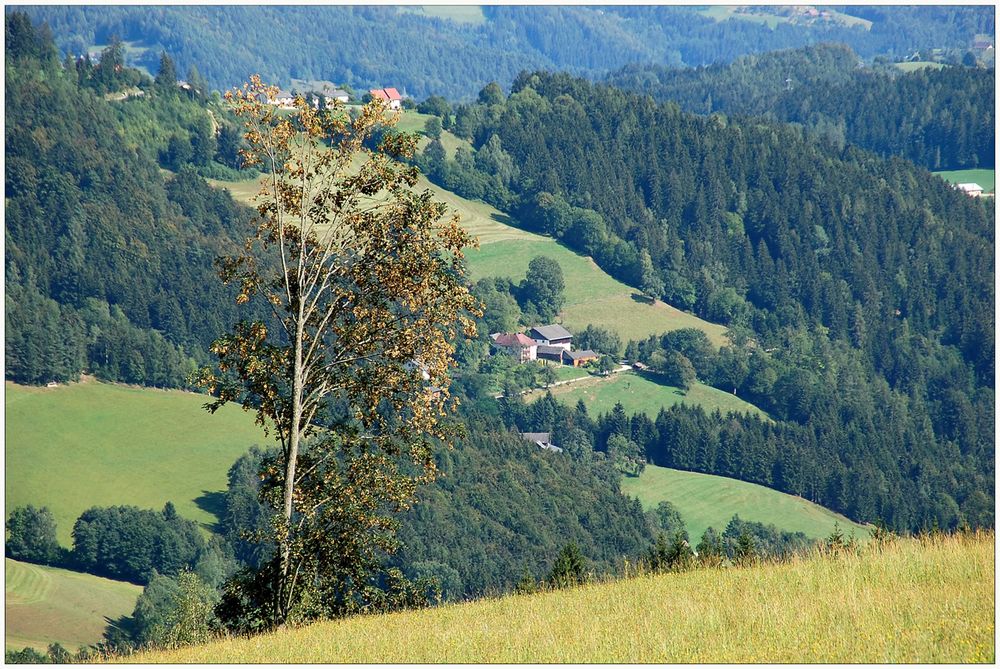 ...und noch ein Stückchen näher...