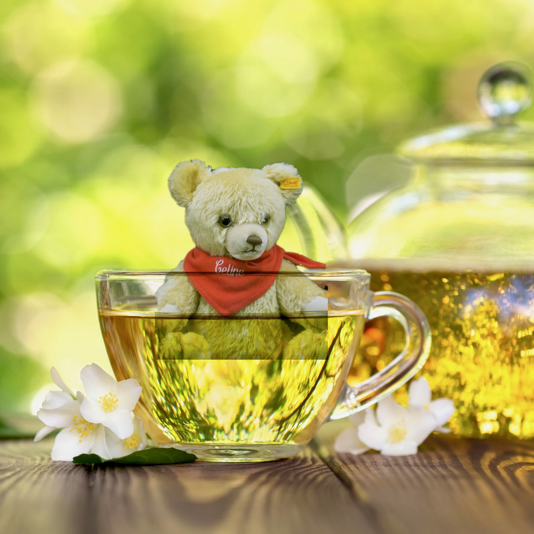 ... und noch ein Teddy in einer Tasse