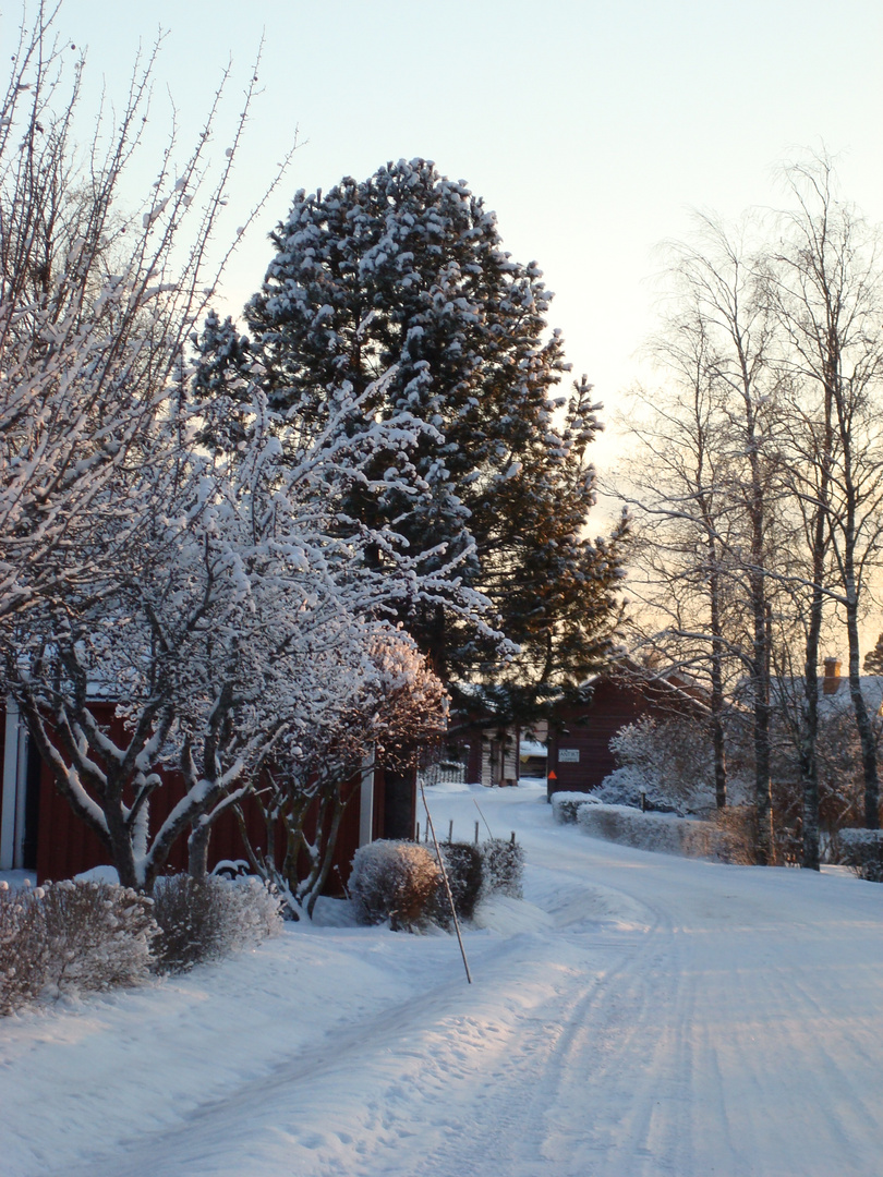 und noch ein winterbild