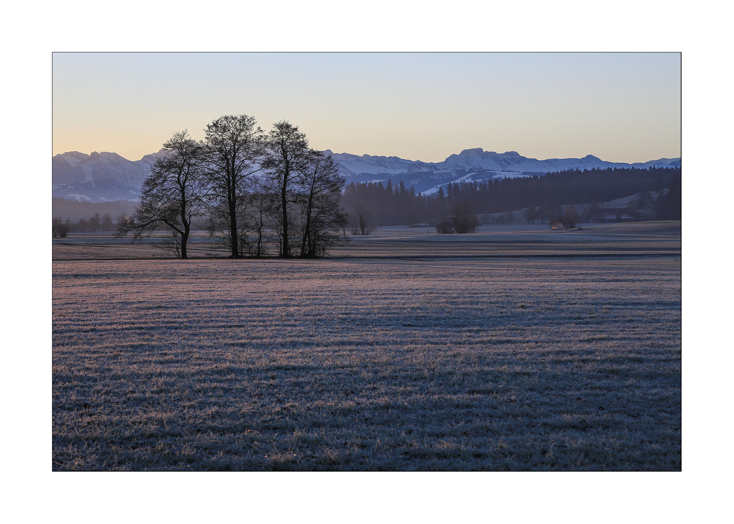 Und noch ein Wintermorgen 1