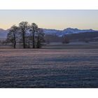 Und noch ein Wintermorgen 1