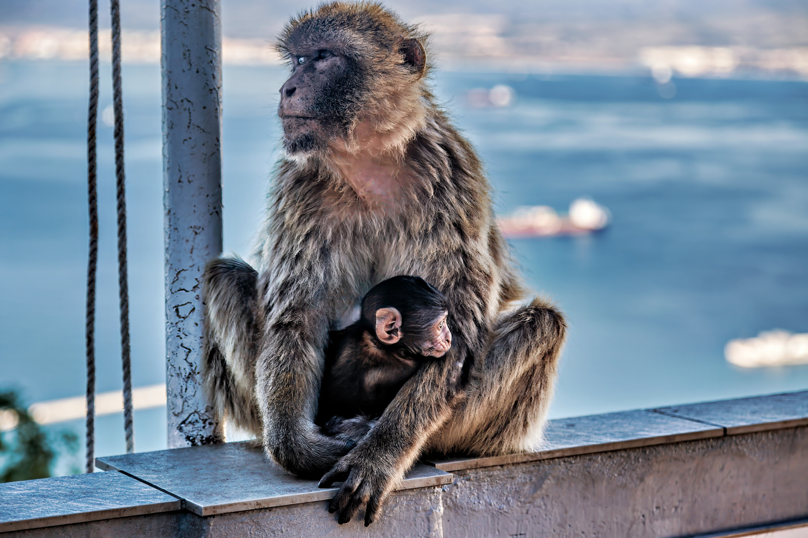 Und noch eine Mama