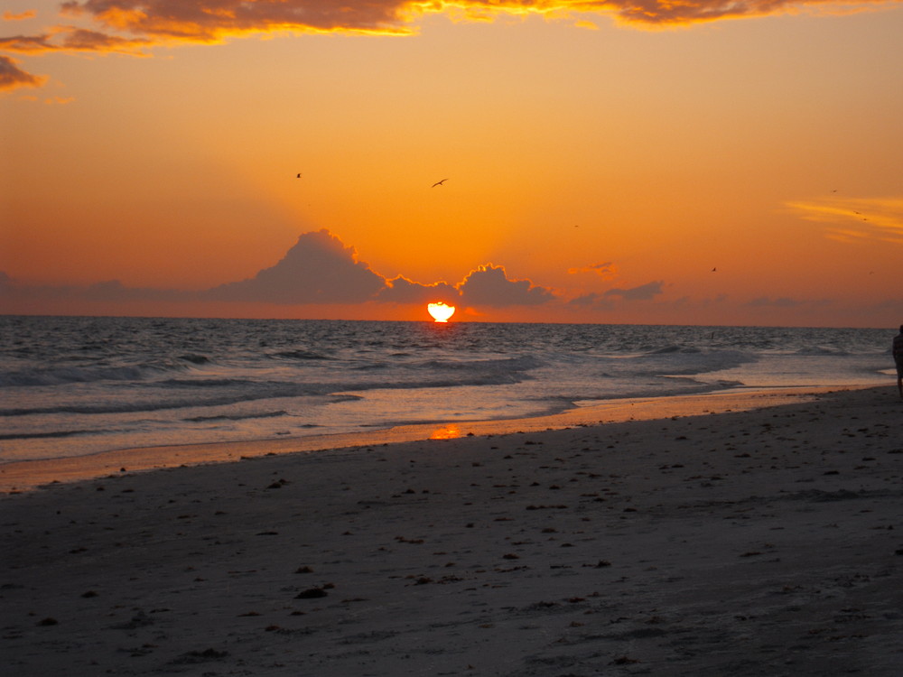 Und noch einer von Anna Maria Island