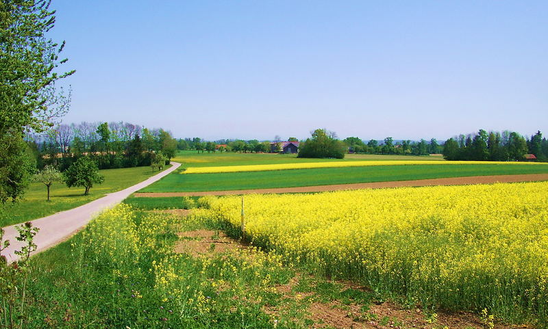 und noch einmal blau-grün-gelb