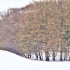 und noch einmal das Ballett der Schneeflocken im Sturm