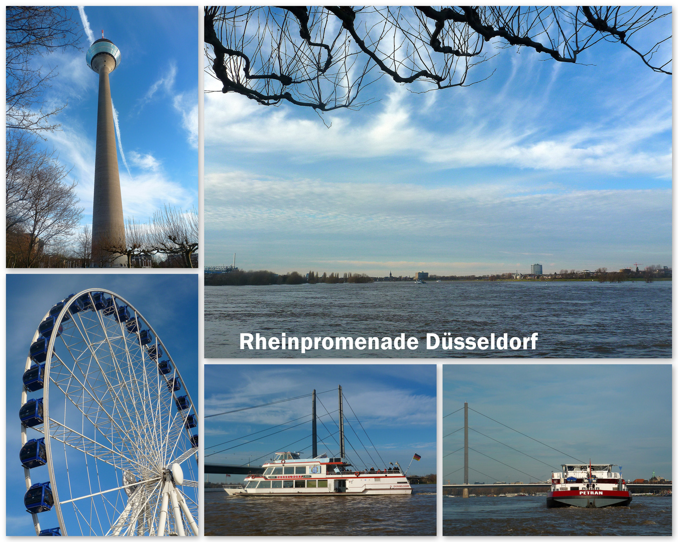 Und noch einmal der Rhein .....