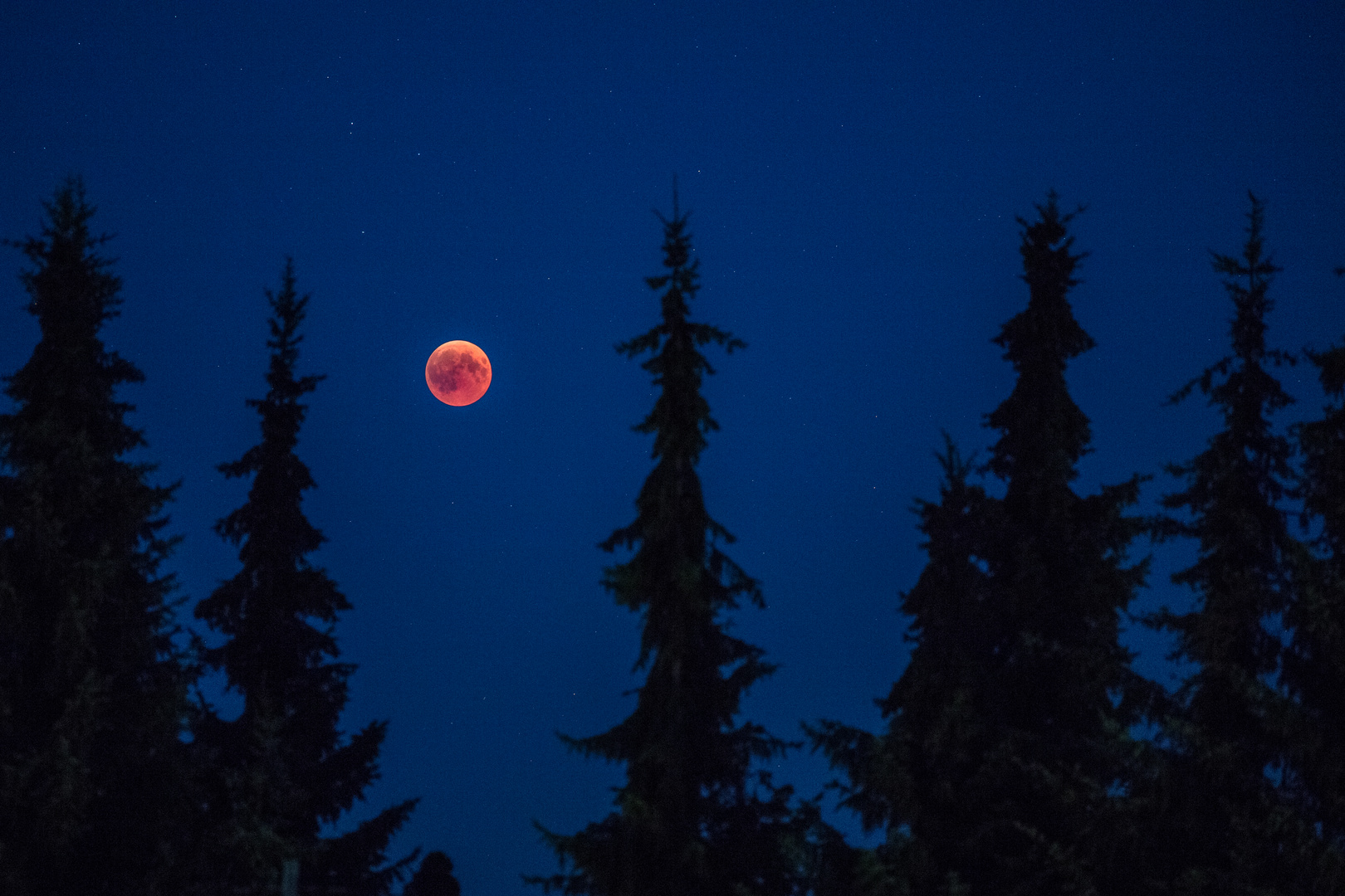 und noch einmal die Mondfinsternis