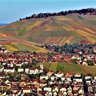 und noch einmal die schönen Farben der Weinberge 