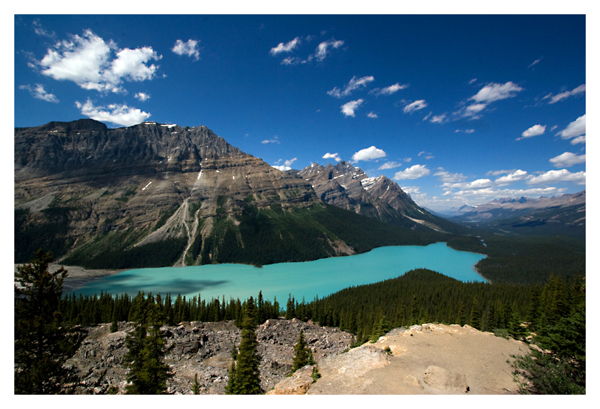 ...und noch einmal: Peyto-Lake