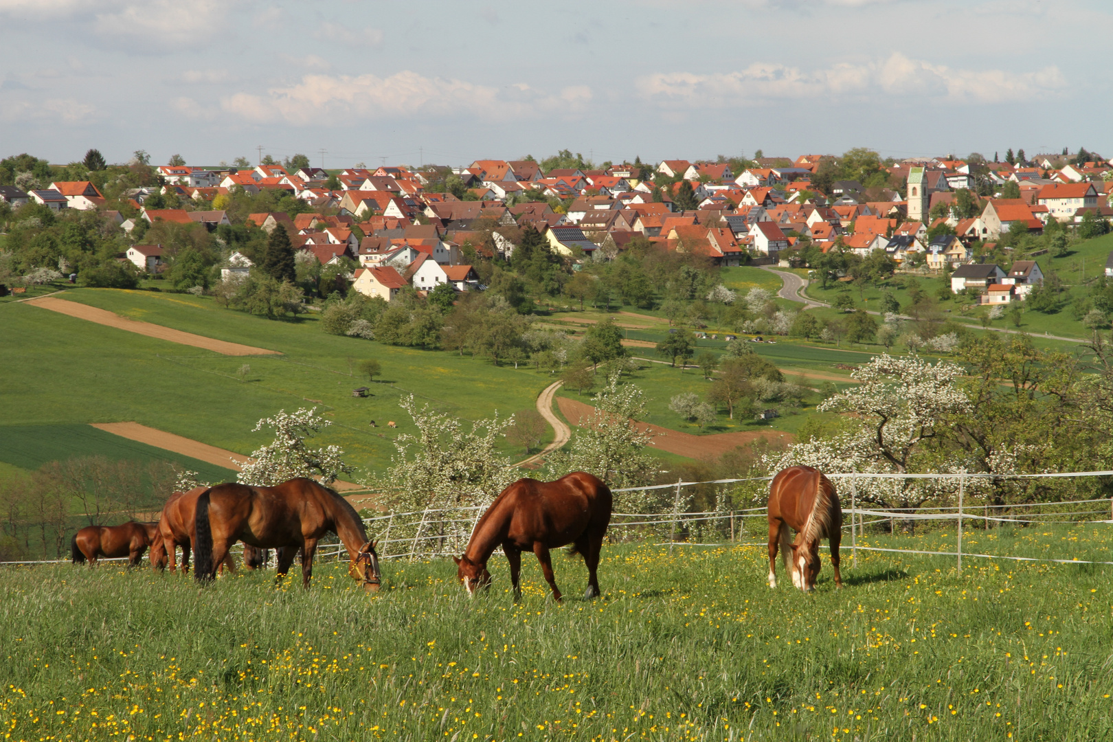 Und noch einmal Sicht von Altenriet aus nach Schlaitdorf