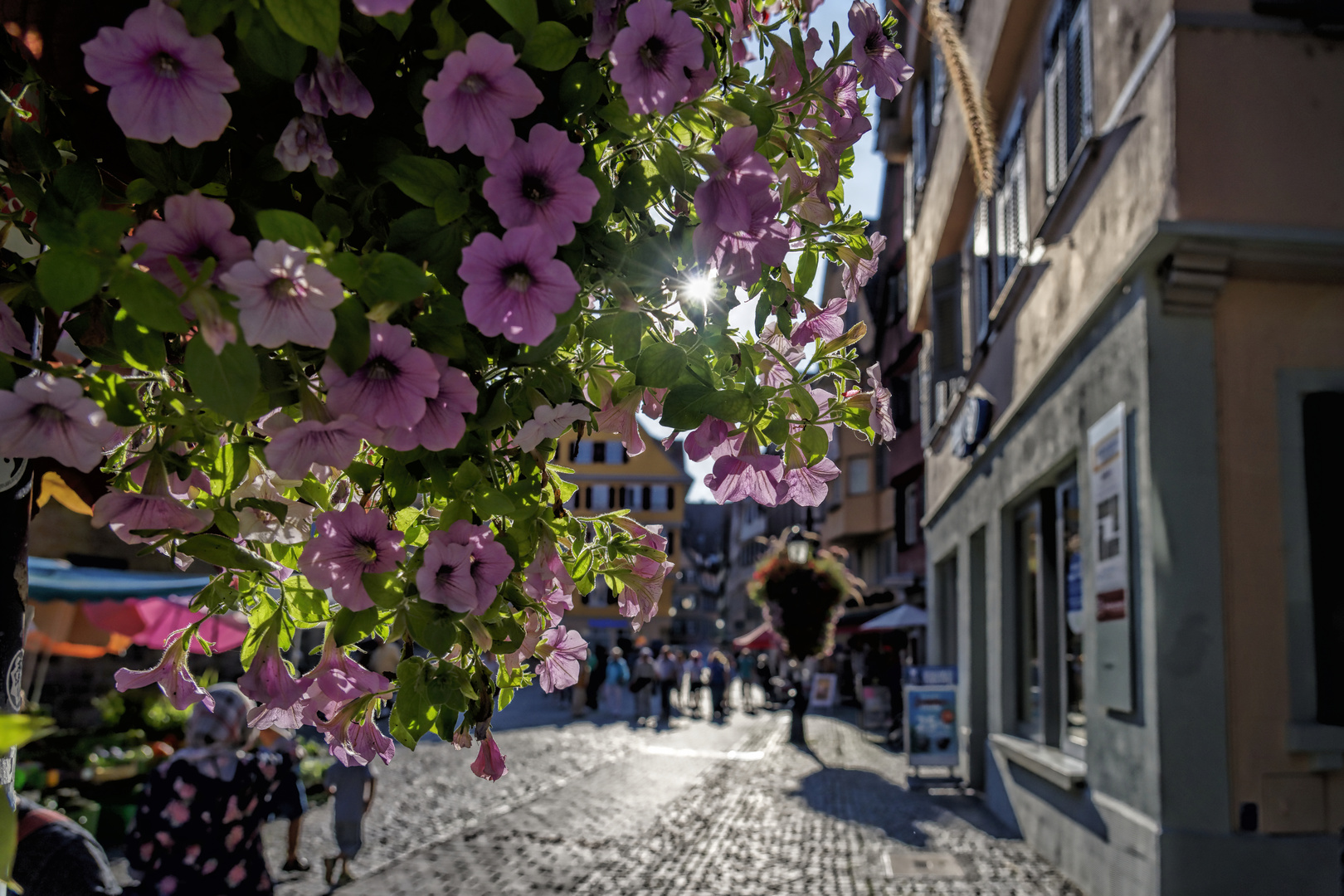 Und noch einmal: Sommer in Tübingen