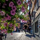 Und noch einmal: Sommer in Tübingen