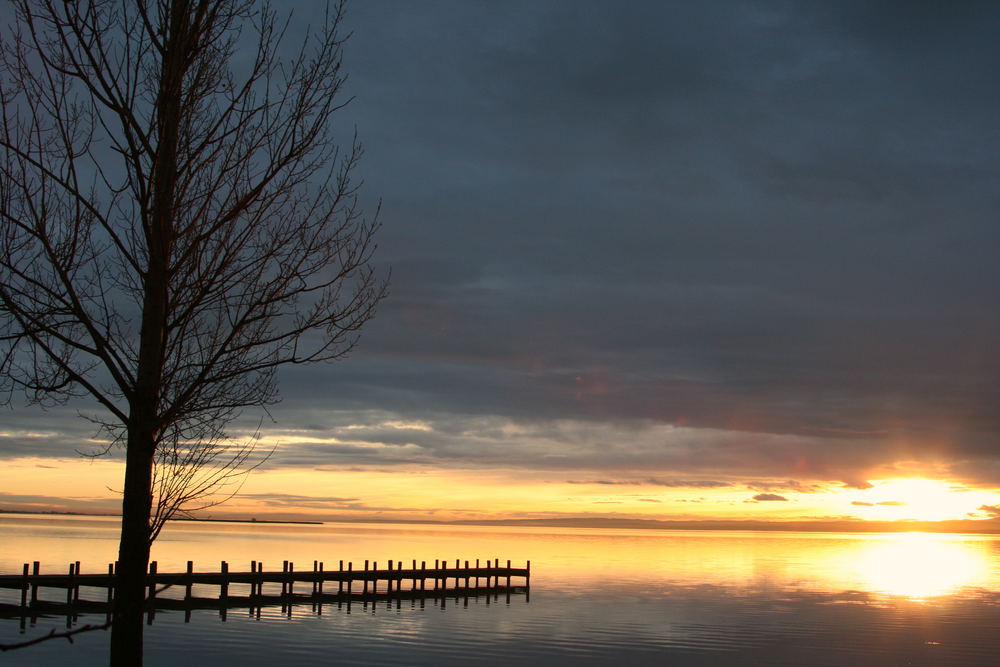 ... und noch einmal Weiden am See